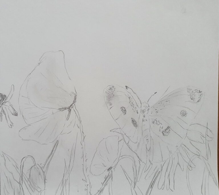 Maurice_Familiedag_2022_002